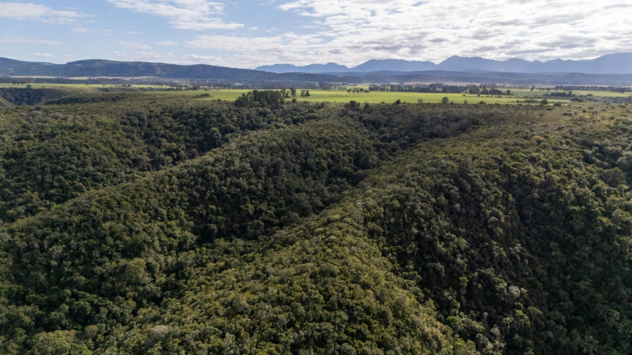  Bedroom Property for Sale in Plettenberg Bay Rural Western Cape